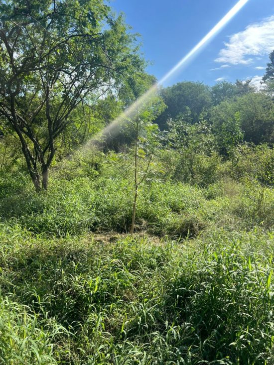 sobre-instituto-set-01