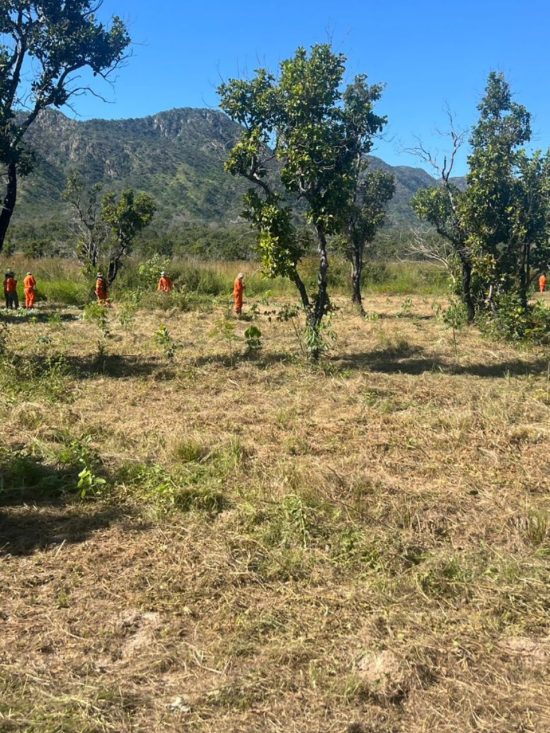 sobre-instituto-set-02