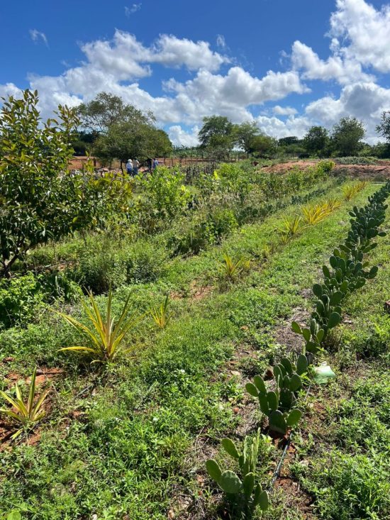 sobre-instituto-set-03